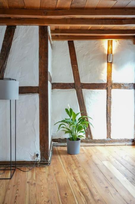 Charmante Fachwerk Wohnung Mit Terrasse In Der Altstadt コブレンツ エクステリア 写真