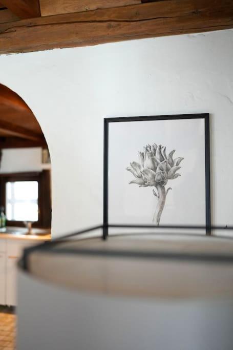 Charmante Fachwerk Wohnung Mit Terrasse In Der Altstadt コブレンツ エクステリア 写真